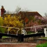 Colourful Lock 17